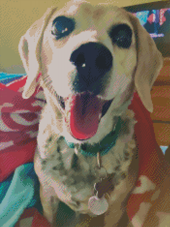 custom for Melissa P