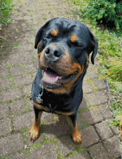 custom for Dakotah A.