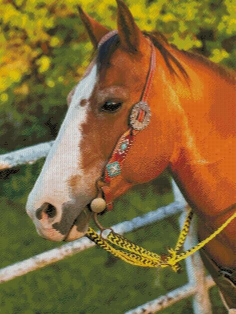 custom for Shianne F.