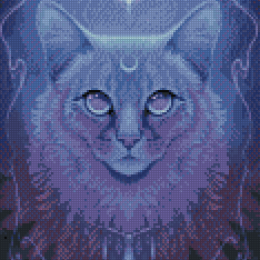 Luna Cat