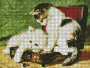 Kittens Trying To Fit In A Box | Henriette Ronner