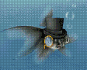 Harold the Fancy Goldfish