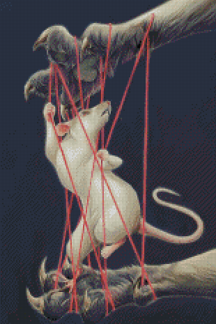 Cats Cradle