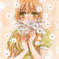 Daisy Flower