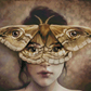 The Moth