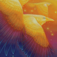 Fly Through Rainbow
