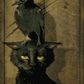 The Raven And The Cat