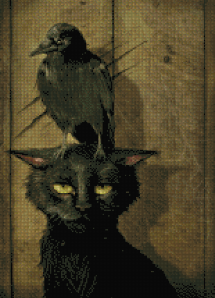 The Raven And The Cat
