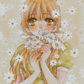 Daisy Flower