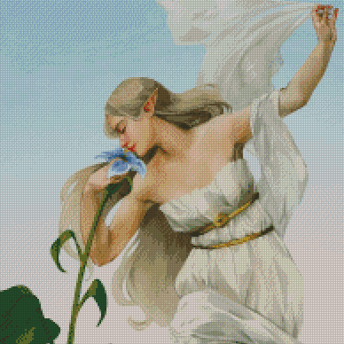 Dawn | Expert Sized XXL Kit