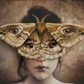 The Moth