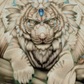 What Do You Seek