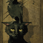 The Raven And The Cat