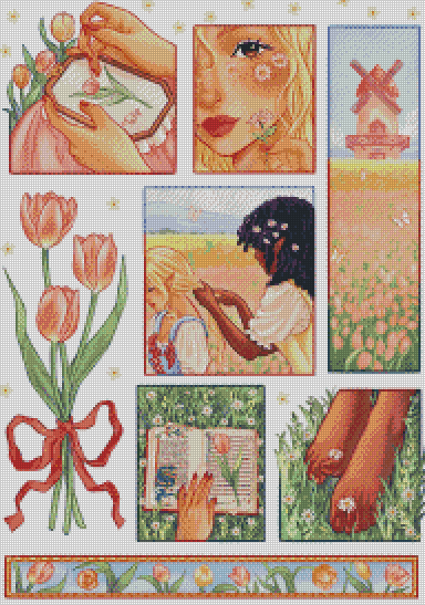 Tulips And Wildflowers