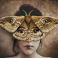 The Moth