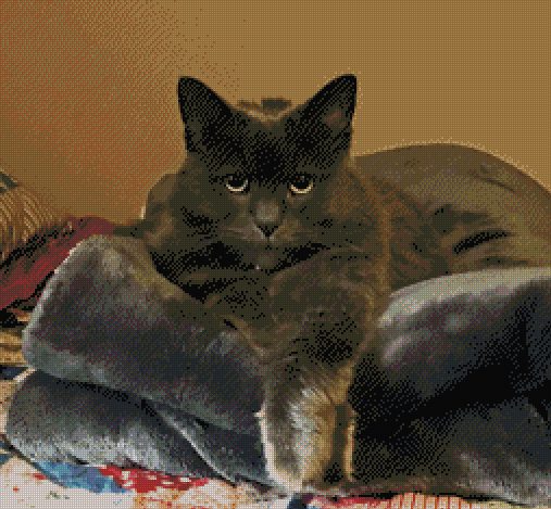 Custom for Meredith T.