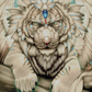 What Do You Seek