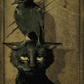 The Raven And The Cat