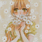 Daisy Flower