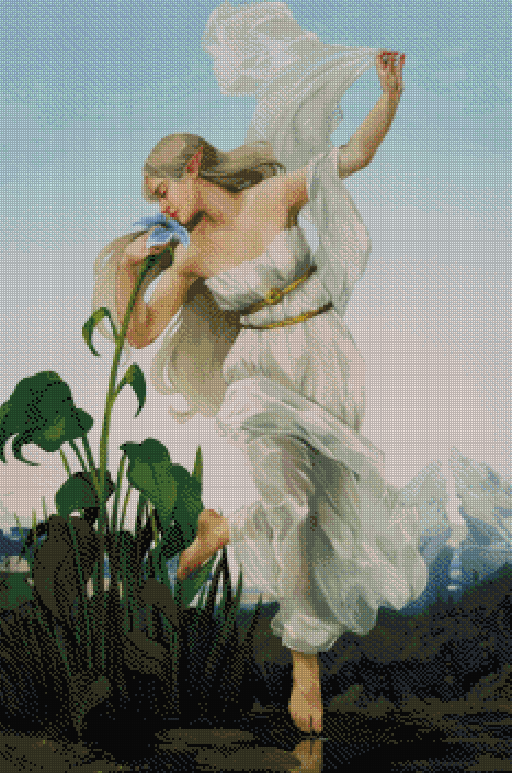 Dawn | Expert Sized XXL Kit