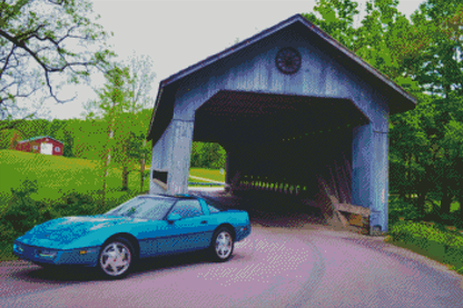 Custom For Ecottencat