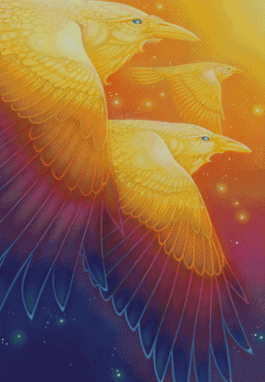 Fly Through Rainbow