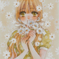 Daisy Flower