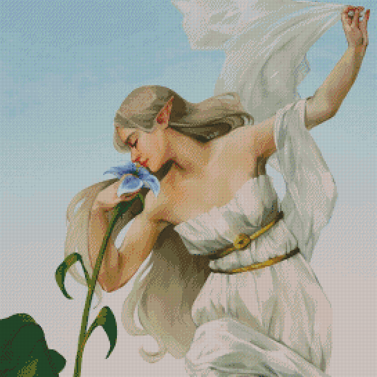 Dawn | Expert Sized XXL Kit