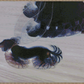Dynamism of a Dog on a Leash | Giacomo Balla