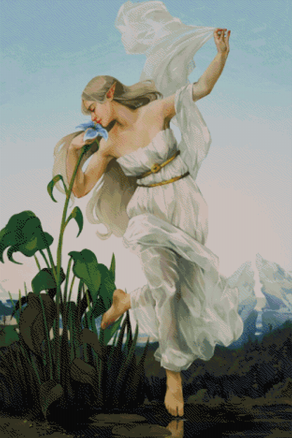 Dawn | Expert Sized XXL Kit