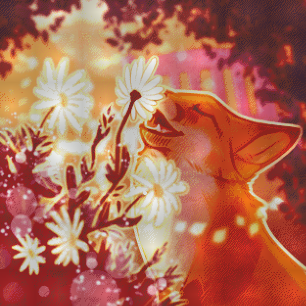 Daisy Dew Garden