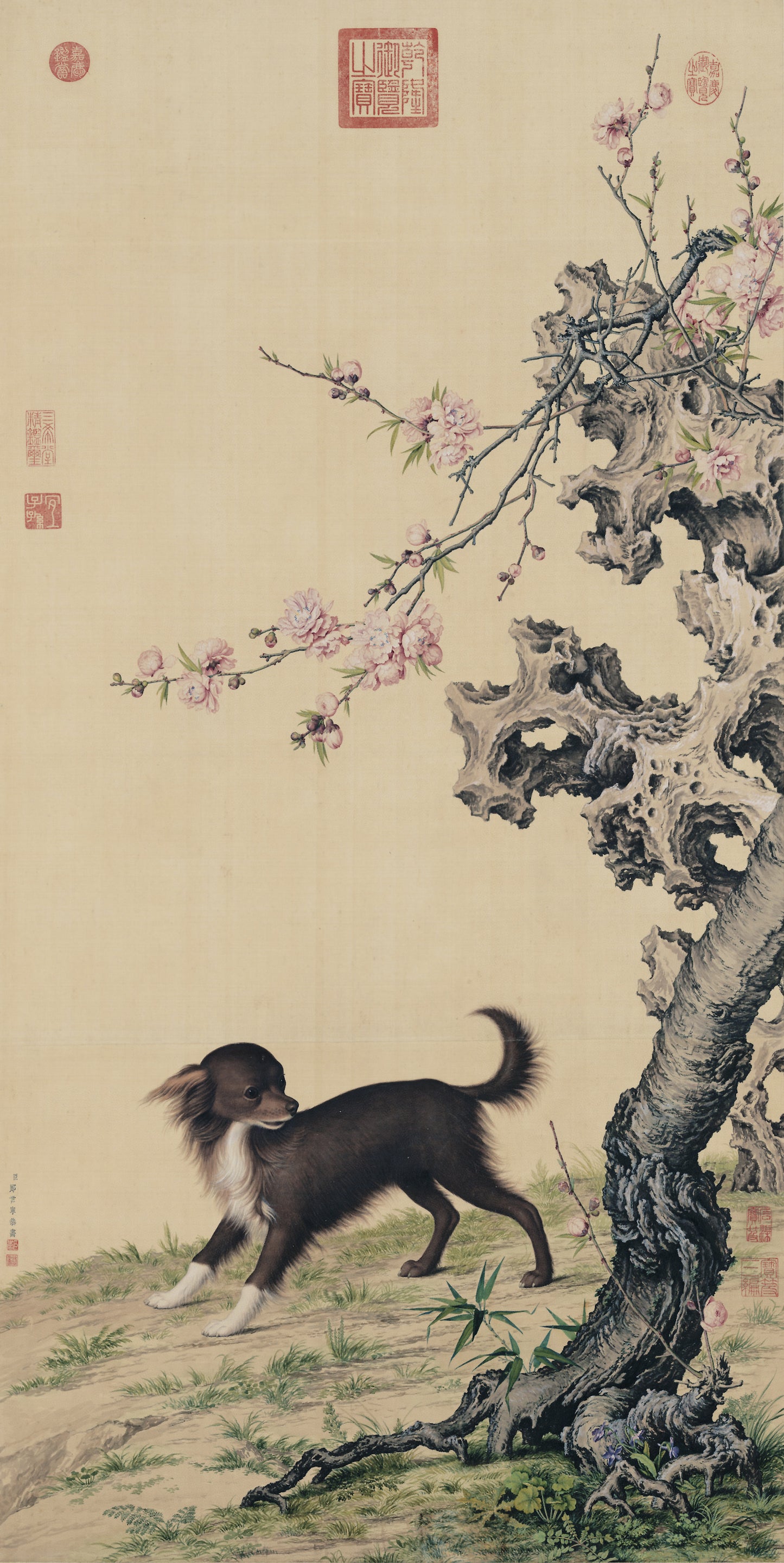 Long-haired Dog Beneath Blossoms | Giuseppe Castiglione