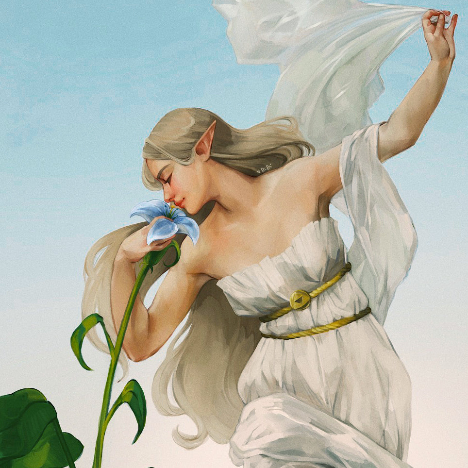 Dawn | Expert Sized XXL Kit