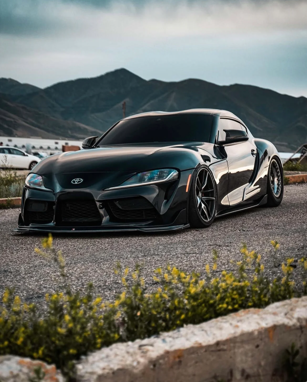 2 Customs For Nichole Miller