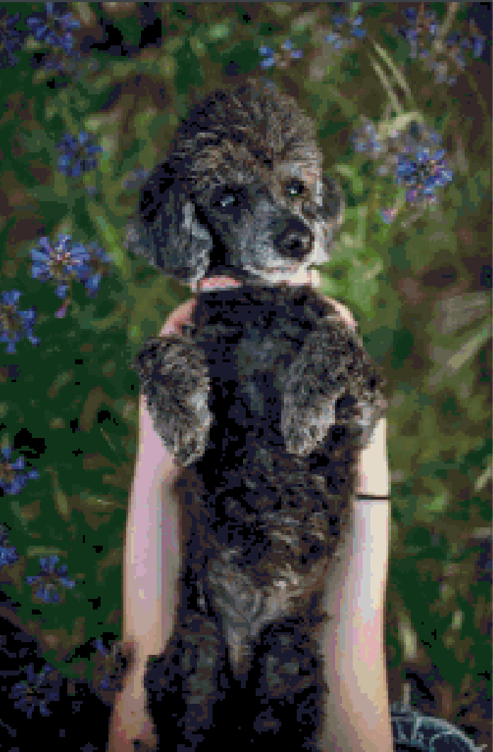 2 Customs For Nichole Miller