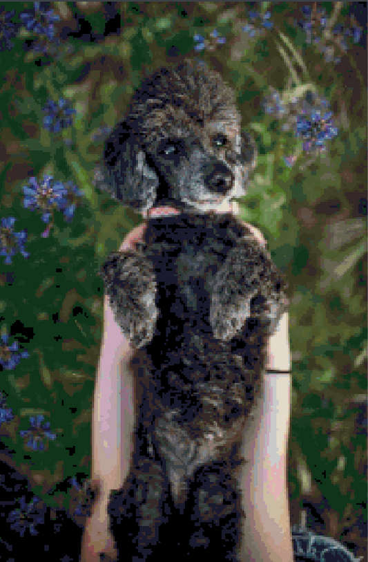 2 Customs For Nichole Miller