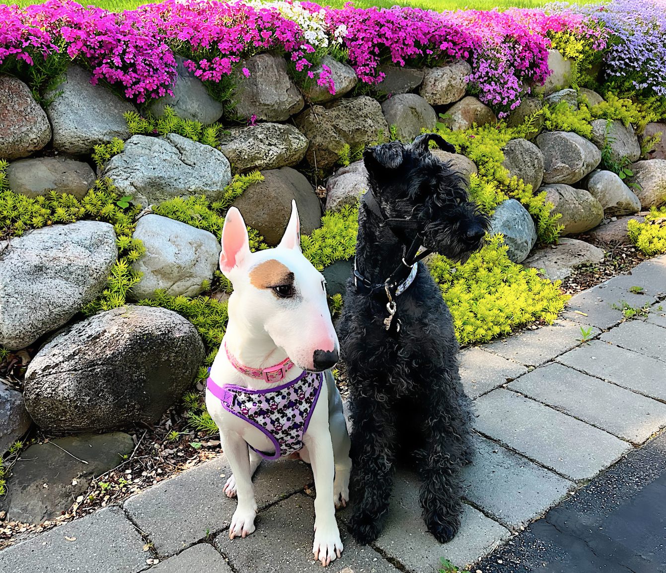 Custom For Olivia Racette