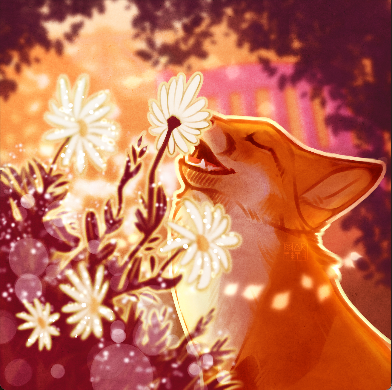 Daisy Dew Garden