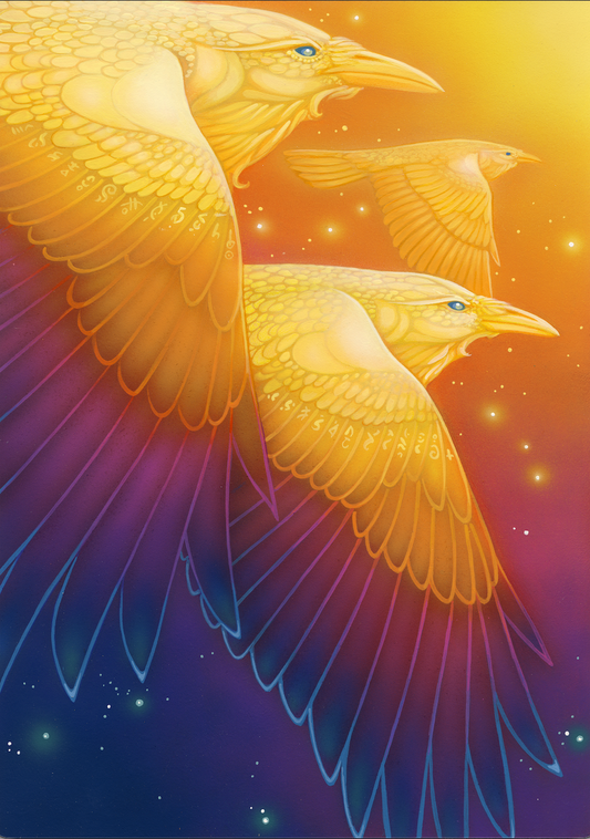 Fly Through Rainbow