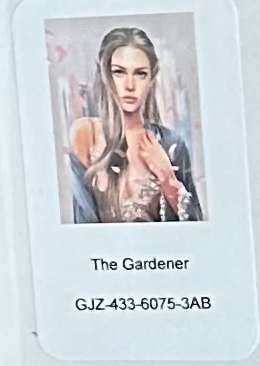 Over Stock Destash | Ready To Ship