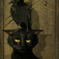 The Raven And The Cat