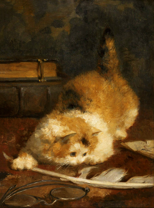 The Feather | Charles Van Den Eycken