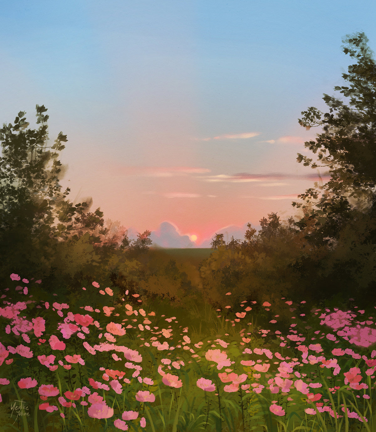 Sunset Spring Colors Sunset Spring Flowers