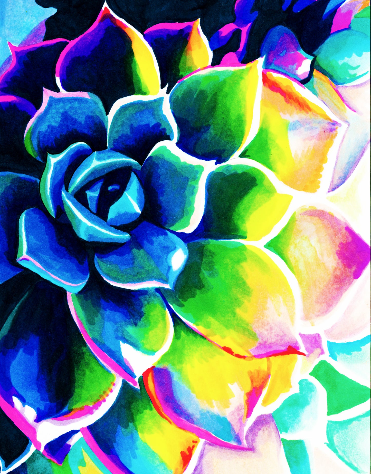 colorful succulent painting Supplication Succulent – Jaded Gem Shop